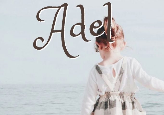 La stanza di Adel, il nuovo romanzo di Ruggero Pegna in libreria e anche online! Santelli editore