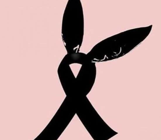 NO ALLA VIOLENZA E ALL’ODIO, SI ALL’AMORE E ALLA MUSICA